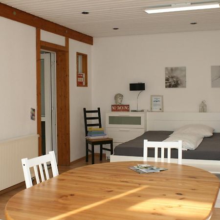 Gemuetliches Grosszuegiges Apartment Höhr-Grenzhausen Kültér fotó